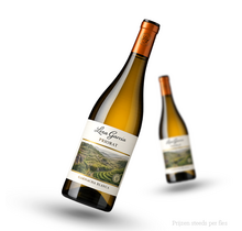 Leza Garcia Priorat Wit