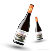 Leza Garcia Priorat Rood