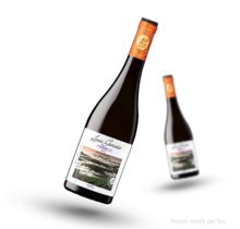 Leza Garcia Priorat Rood