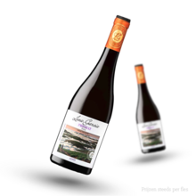 Leza Garcia Priorat Rood