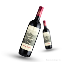 Banghoek Red Blend
