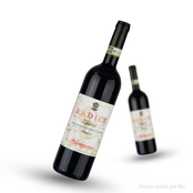 Radici riserva 2017 Aglianico