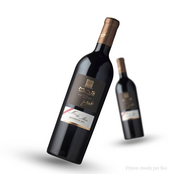 Mas de Mas Minervois Paul Mas