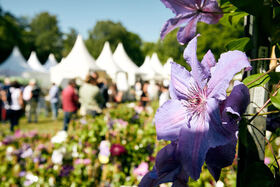 Gartenfestival Herrenhausen