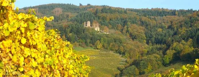 Weinwanderung