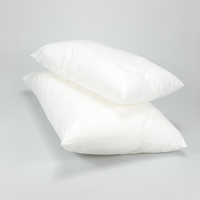 Huismerk Kussen Synthetisch 60x40cm