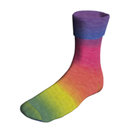 Jawoll Twin 511 Regenboog Lang Yarns Jawoll Twin 511 Regenboog