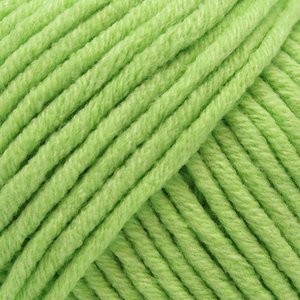 Yarn and Colors Fabulous 81 Lettuce