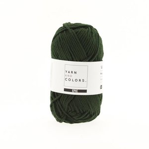 Yarn and Colors Epic 88 Forest