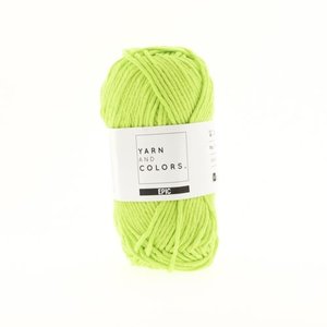 Yarn and Colors Epic 84 Pistachio