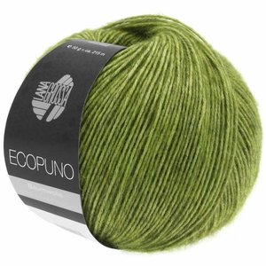 Lana Grossa Ecopuno 002 Kleur: Appelgroen Ecopuno 002 Kleur: Appelgroen