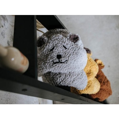 Durable Haakpatroon Baby- en Kleutercape Teddy Download