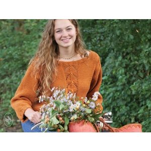Breipatroon Easy Autumn sweater Download