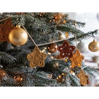 Haakpatroon A Starry Christmas TreeDownload Durable Haakpatroon A Starry Christmas TreeDownload