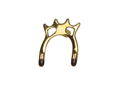 Brass Spider bridge head