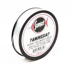 Amnesia Amnesia Clear
