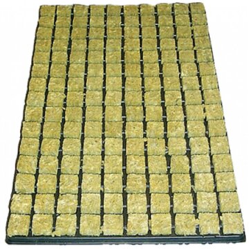  Anzuchtwürfel Steinwolle 150er Tray
