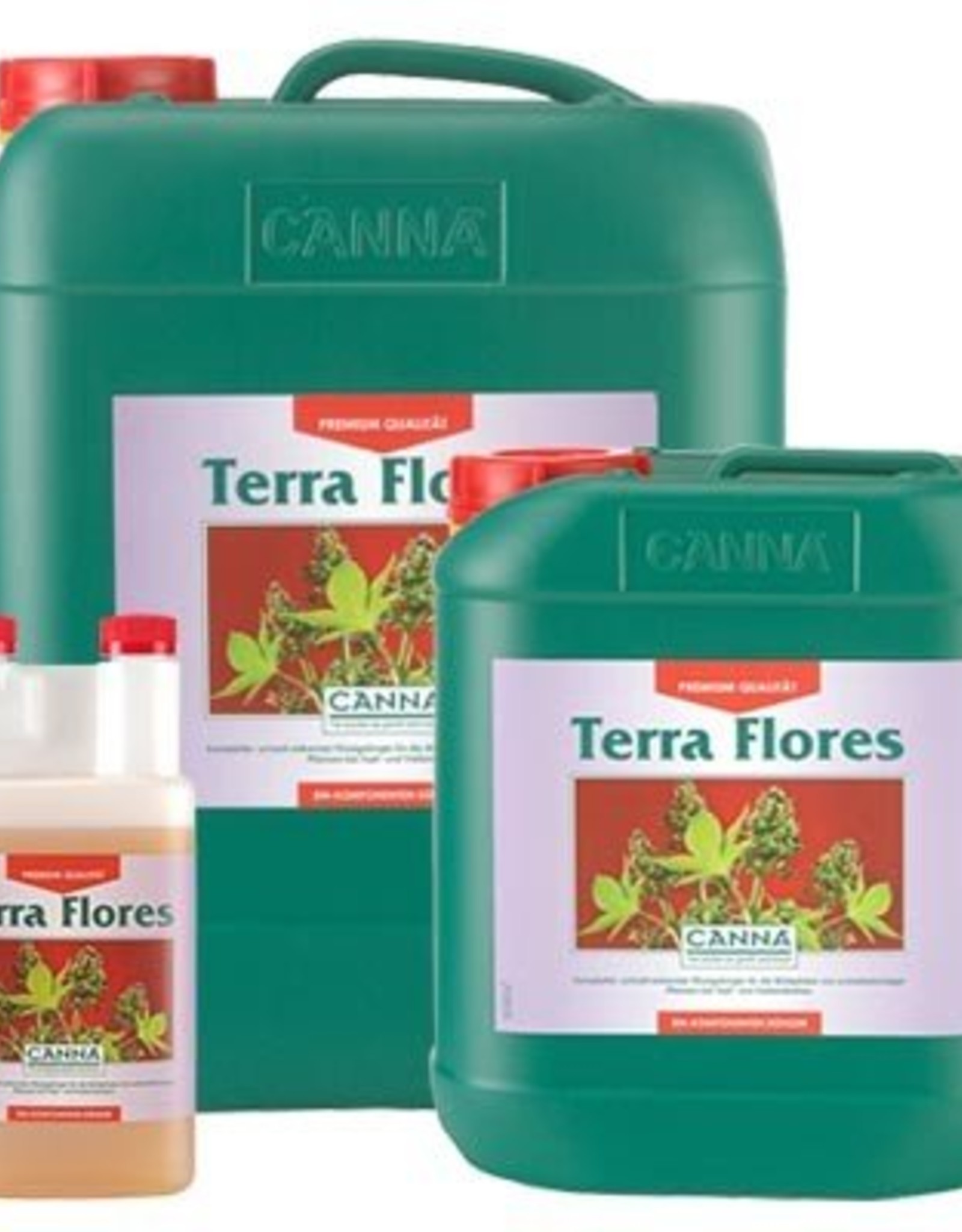 canna-terra-flores-sputnick