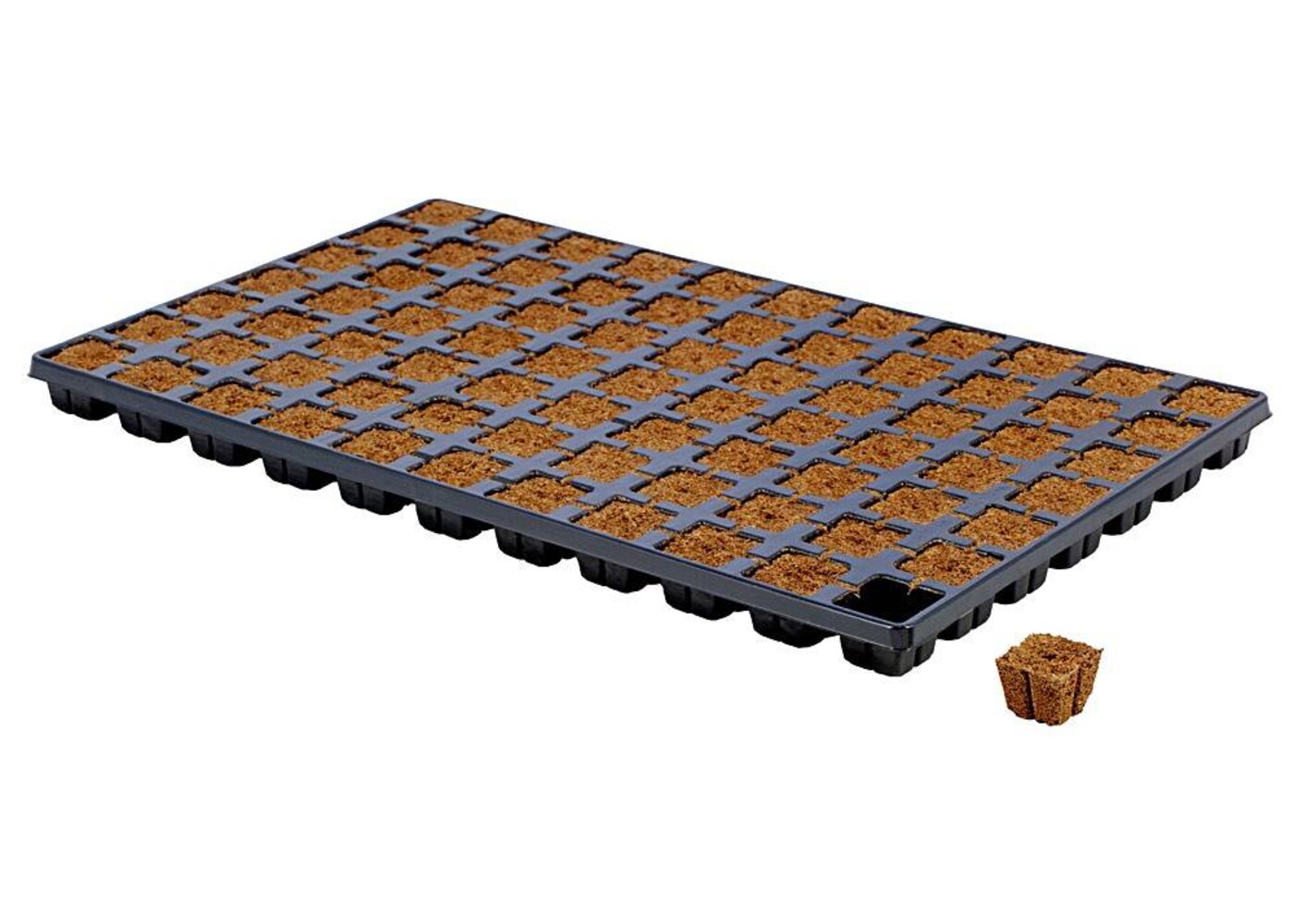 Eazy Plug Eazy Plug 4x4cm Tray mit 77 Stk.