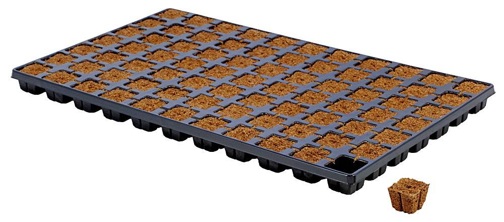 Eazy Plug Eazy Plug 4x4cm Tray mit 77 Stk.