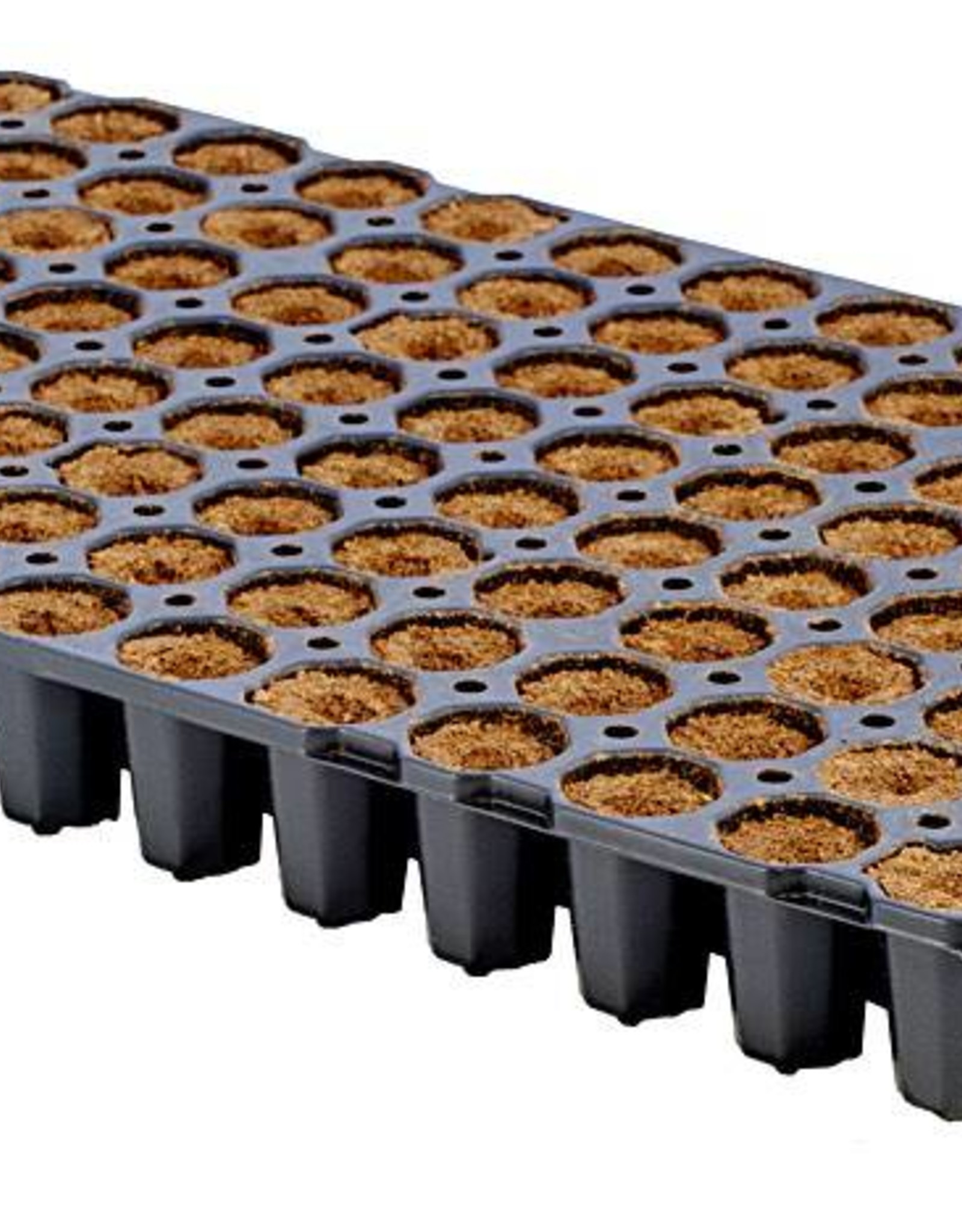 Eazy Plug Tray mit 104 Stk. Sputnick