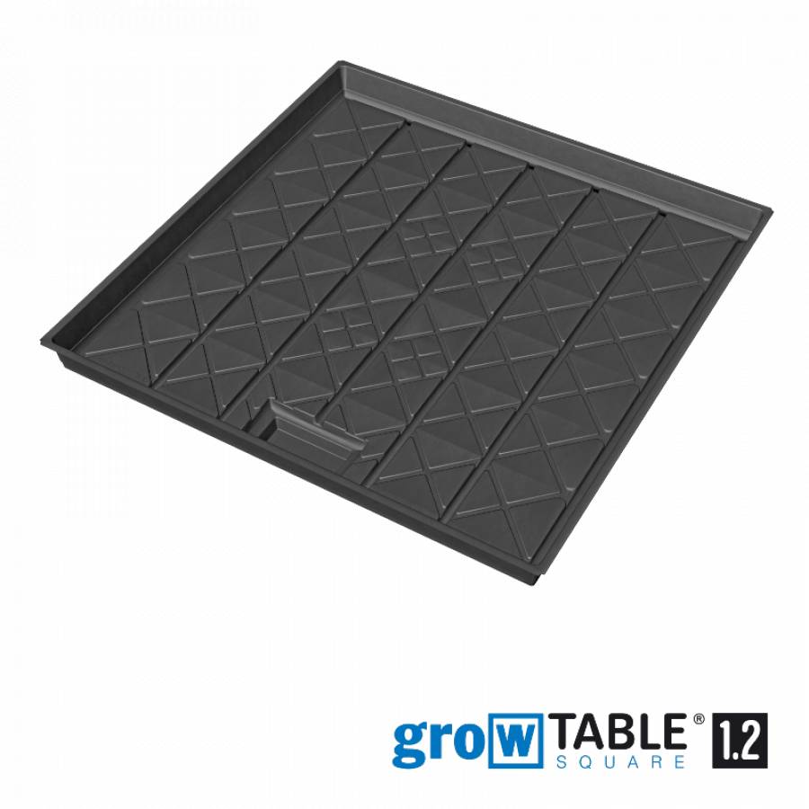 growTABLE 1.2