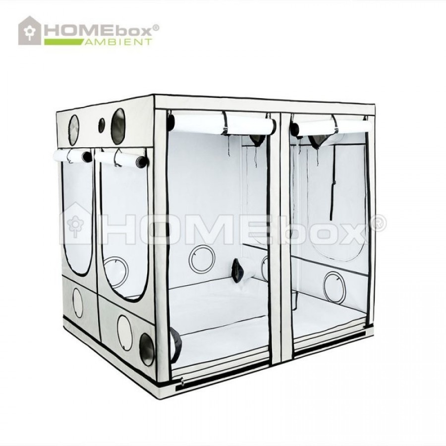 Homebox Homebox  Q240+ 240x240x220cm