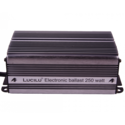 Lucilu Digital 250 W