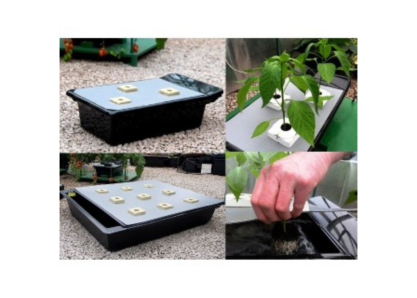 Nutriculture Nutriculture NFT Gro-Tank GT100