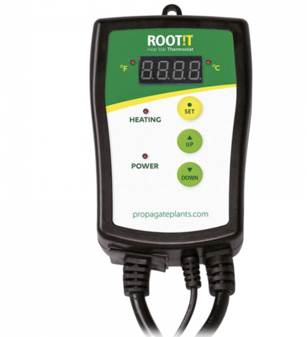 Root!t Root!t Thermostat für Heizmatten