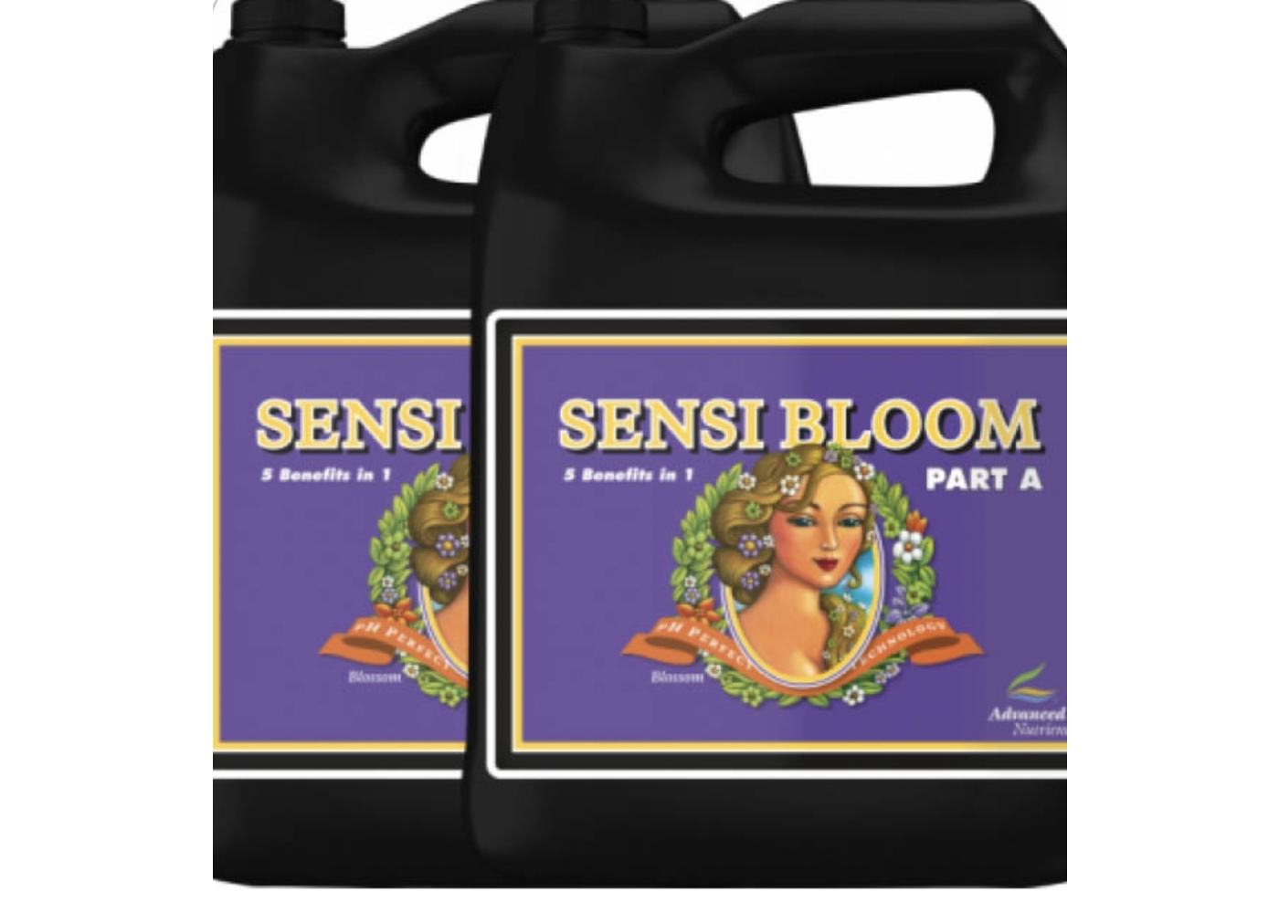 Advanced Nutrients Advanced Sensi Bloom A+B 5lo