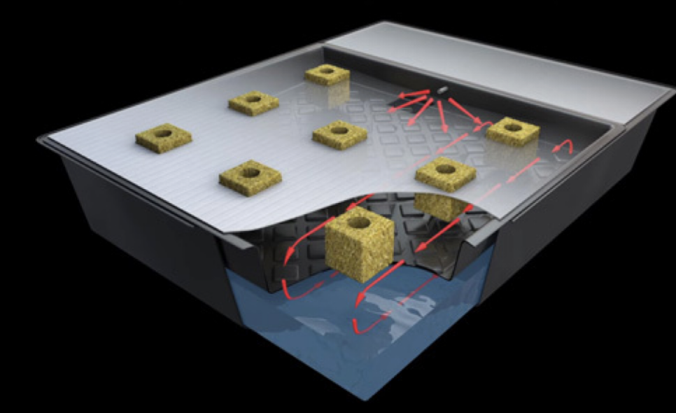 Nutriculture Nutriculture NFT Gro-Tank GT100