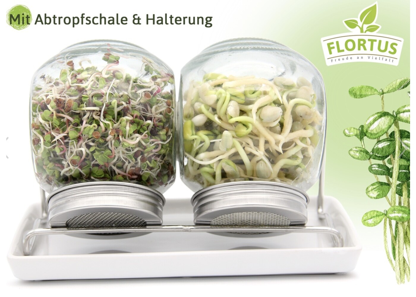 Flortus Sprossenglas Duo Set (2x425ml)