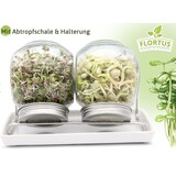 Flortus Sprossenglas Duo Set (2x425ml)