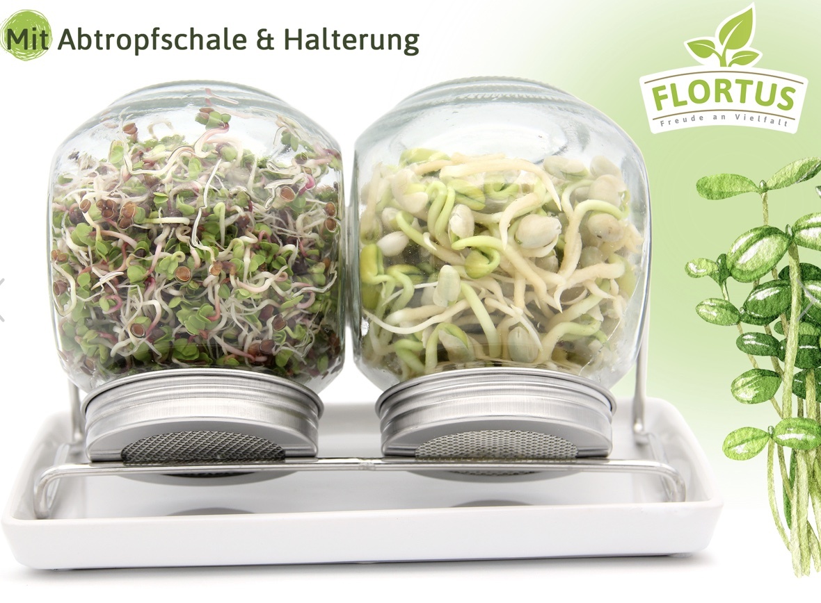 Flortus Sprossenglas Duo Set (2x425ml)