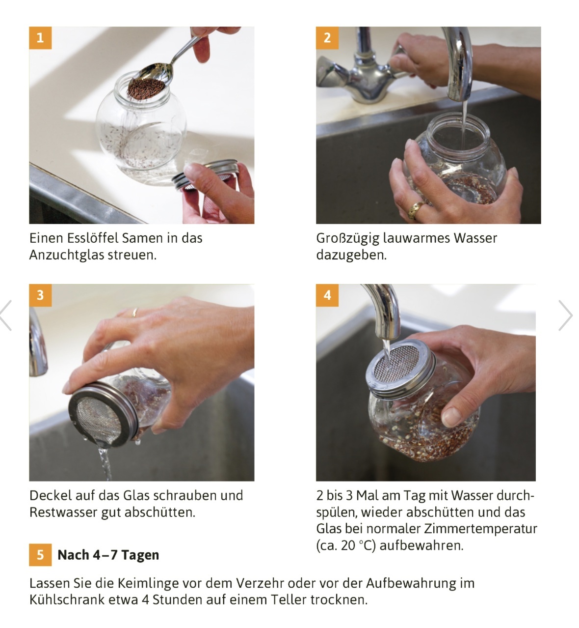 Flortus Sprossenglas Duo Set (2x425ml)