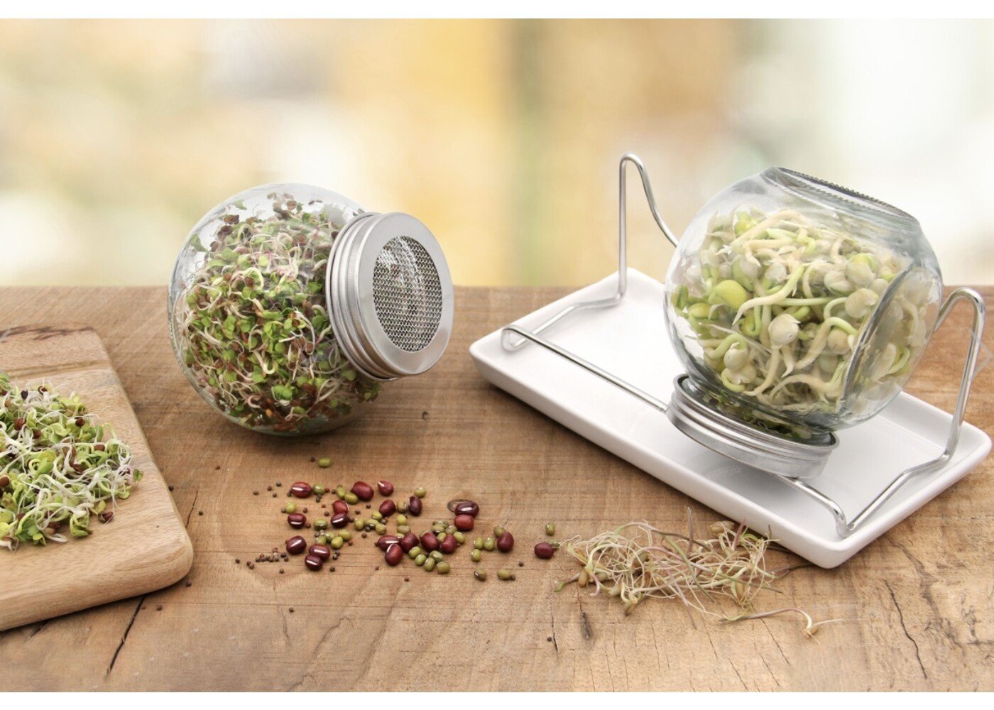 Flortus Sprossenglas Duo Set (2x425ml)