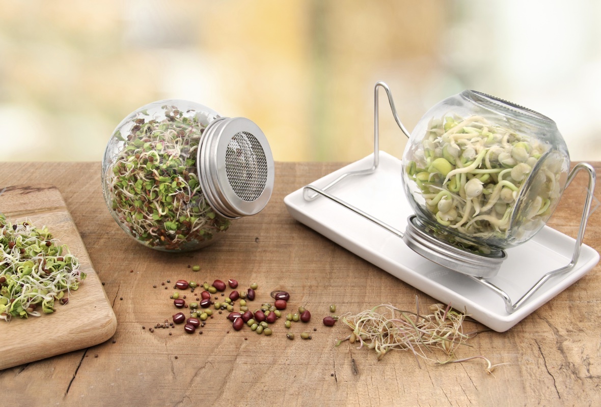 Flortus Sprossenglas Duo Set (2x425ml)