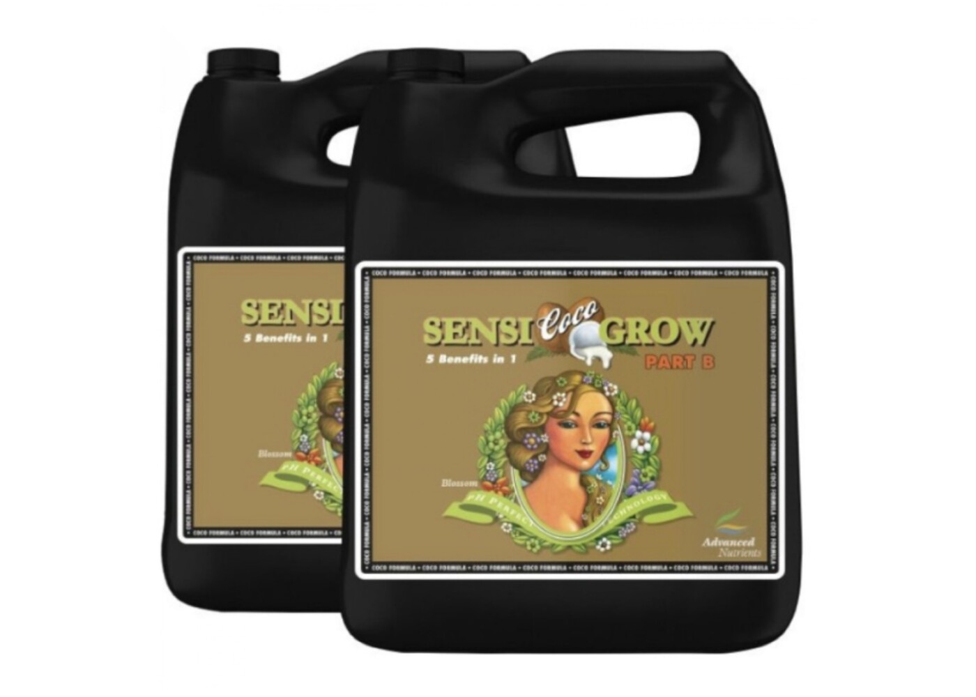 Advanced Nutrients Advanced Nutrients Sensi Coco Grow A+B ph- perfect 4l