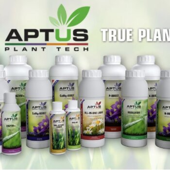 Aptus