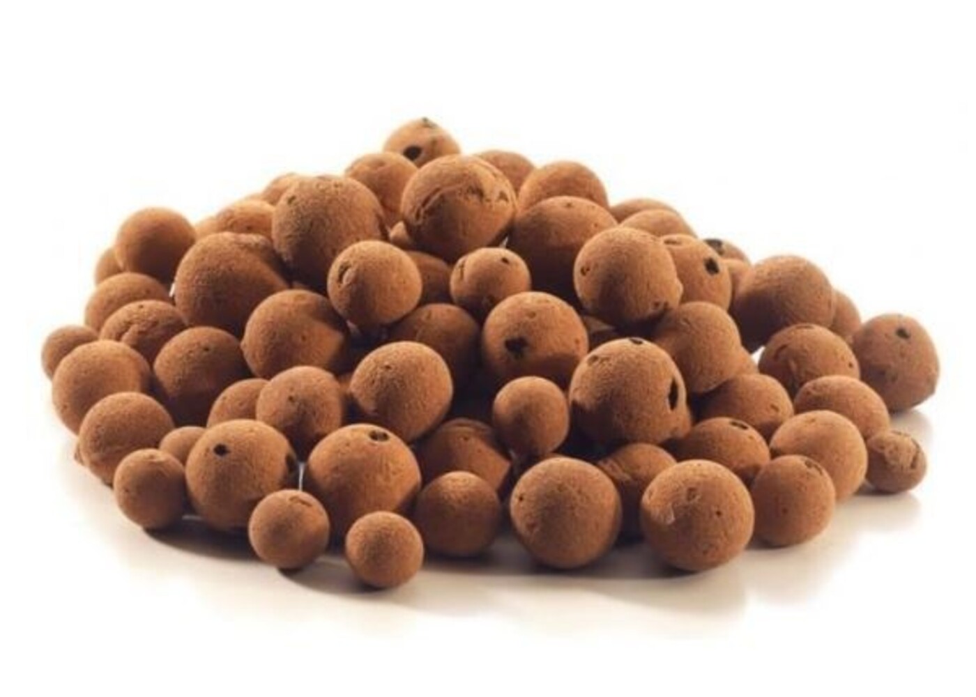 Plagron Plagron Blähton Blähton 45l