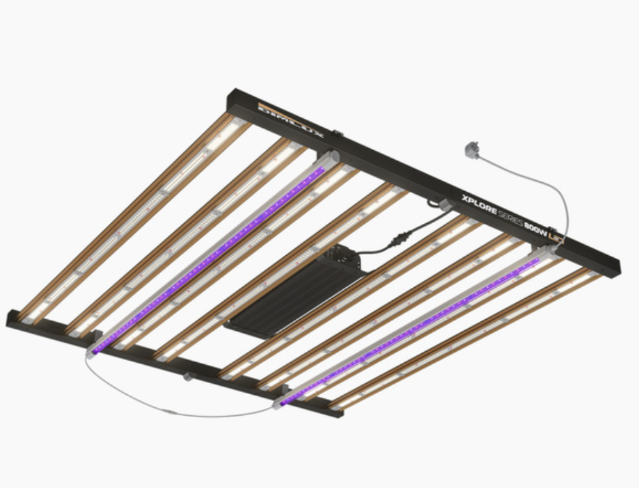 Dimlux Dimlux  Xplore Series NIR ADD-ON 2x25W