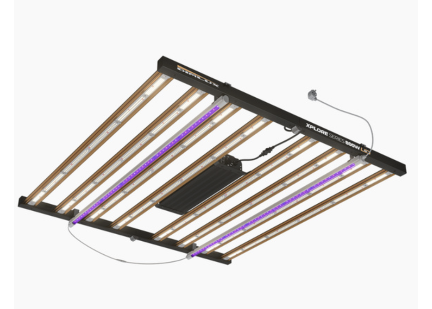 Dimlux DIMLUX XPLORE SERIES UV ADD-ON 2X25W LED