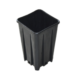 Topf 2.5l mit Wurzelsteg 13x13x18cm