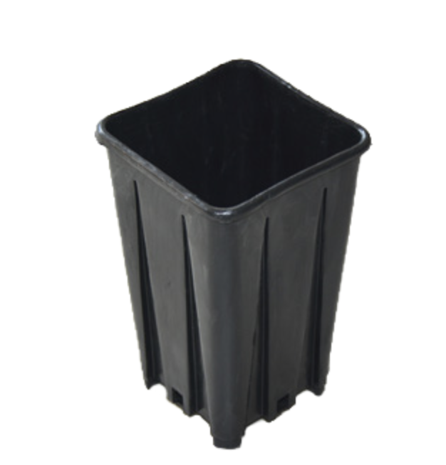 Topf 2.5l mit Wurzelsteg 13x13x18cm