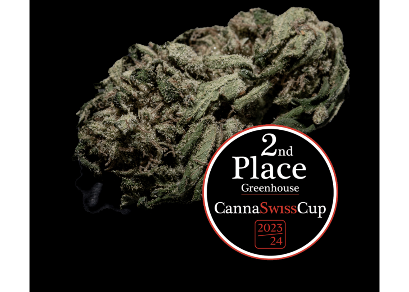 Organic Guys CBD OG Strawberry Cheese Cake 14g