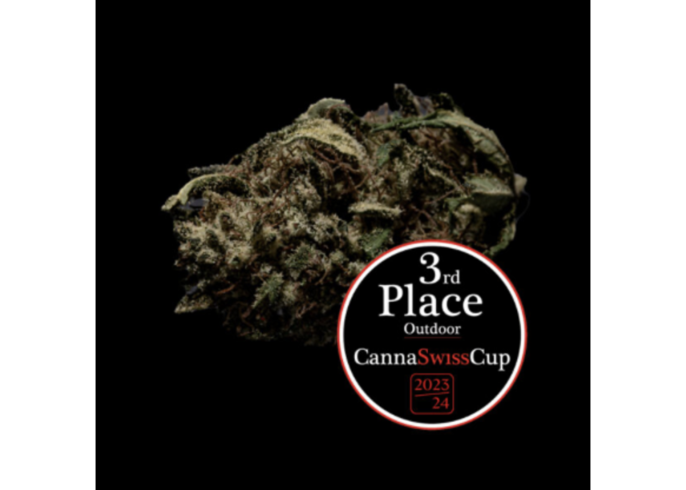 Organic Guys CBD OG Limoncello 14g