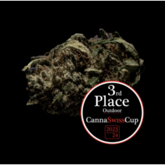 Organic Guys CBD OG Limoncello 14g