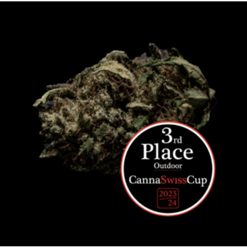 Organic Guys CBD OG Limoncello 14g