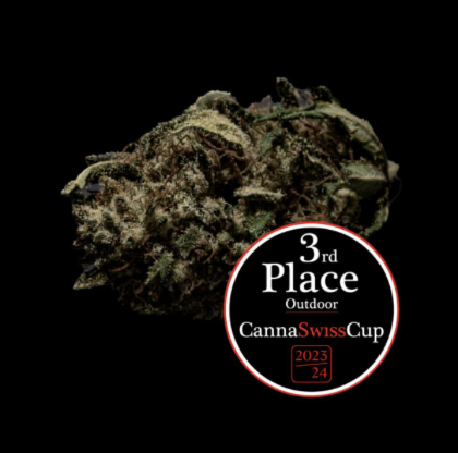 Organic Guys CBD OG Limoncello 14g
